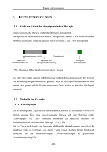 3.1. Zeitlicher Ablauf der photodynamischen Therapie 3.2. Methodik