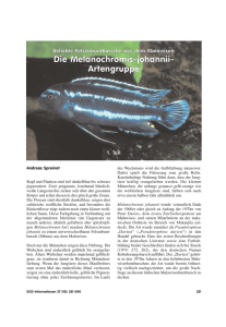 Die Melanochromis-johannii