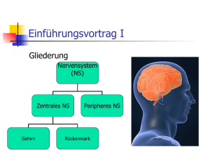 I Menschliches Nervensystem - Heidelberger Life