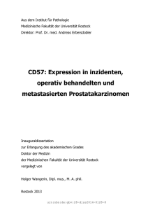 CD57: Expression in inzidenten, operativ