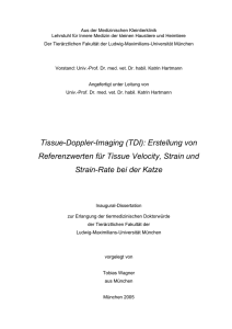 Tissue-Velocity-, Strain- und Strainrate Messungen mittels