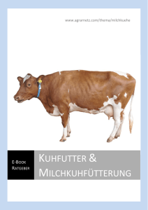Kuhfutter & Milchkuhfütterung