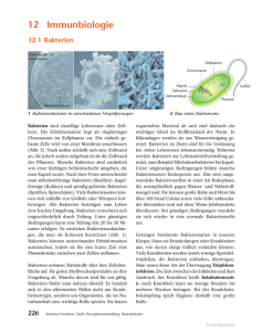 12.1 Bakterien - Schulbuchzentrum Online