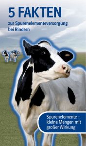 zur Spurenelementeversorgung bei Rindern Spurenelemente