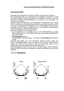 NUCLEINSÄUREN