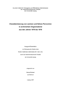 Dissertation_N.R&uuml;ckert