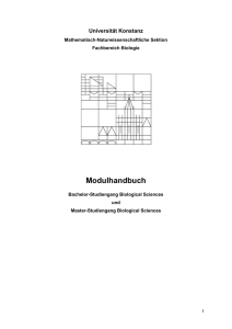 Modultitel: I Grundlagen Module