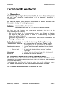 Funktionelle Anatomie