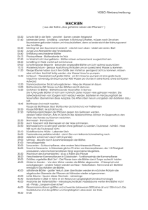 V 1 : Untersuche Stoffeigenschaften