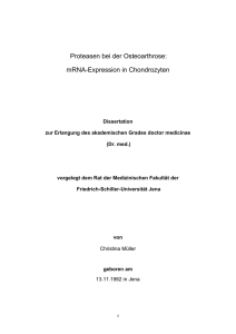 Müller/Dissertation