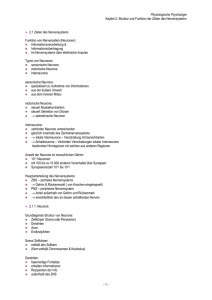 Kap.2 Struktur und Funktion der Zellen des