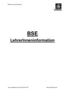 BSE – LehrerInneninformation