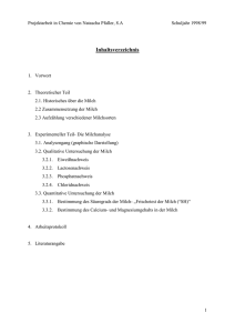 Word-Dokument () &ouml;ffnen