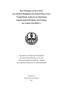 1.2 Das Epstein-Barr-Virus - Publikationsserver der Universit&auml;t