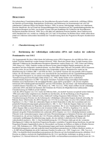 diskussion - bei DuEPublico