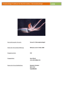 Deckblatt - Ihre Homepage bei Arcor