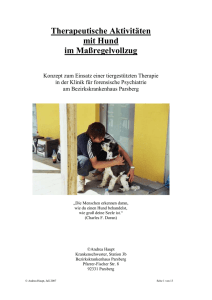 1) Bezugspatient Hr. P. &ndash; Border-line St&ouml;rung und Suchterkrankung