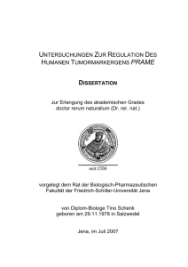 Dissertation Tino Schenk