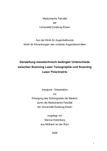 Doktorarbeit - bei DuEPublico - an der Universität Duisburg