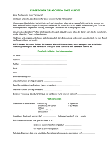 Fragebogen zur Adoption f&uuml;r Hunde