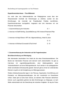 Beschreibung der Expertengespräche von Tina Wittmeier