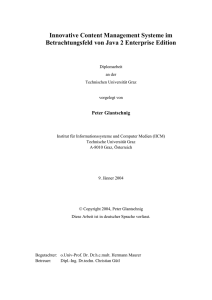 DOC - Das IICM - Graz University of Technology