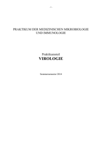 Die Polymerasekettenreaktion (PCR) dient der automatisierten