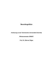 Neurokognition - Technische Universität Chemnitz
