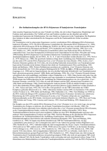 Einleitung - bei DuEPublico