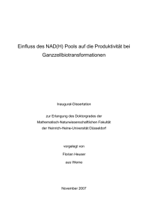 Doktorarbeit finale Version 2007_11_15 - Heinrich