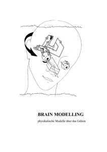 Brain Modelling