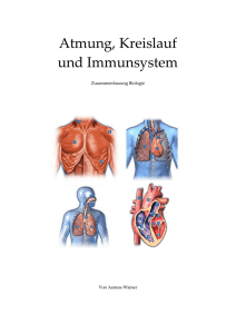 Zusammenfassung Lunge, Herz, Abwehr