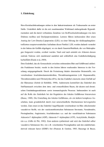 Inhalt der Dissertation