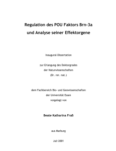 Diss-BFrass - bei DuEPublico