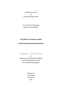 DissertationAnnaLuebking - bei DuEPublico