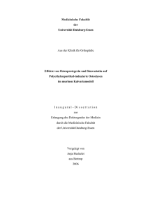 Dissertation Anja Heckelei - bei DuEPublico