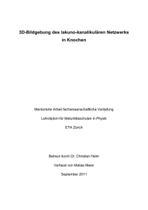 Wissensmarkt zum Ende der Physikausbildung