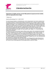 Interactions of highly and low virulent Mycoplasma hyopneumoniae
