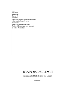 Geräuschlokalisation - Brain Modelling