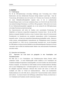 Ergebnisse - bei DuEPublico