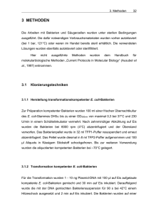 Ergebnisse - bei DuEPublico