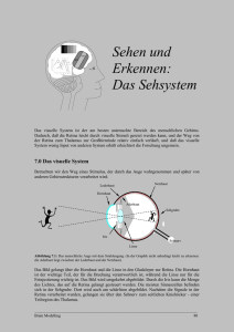 Teil II - Brain Modelling