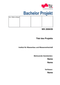 Formatvorlage Bachelorprojekt