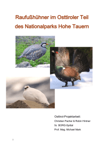 Raufußhühner im Nationalpark Hohe Tauern