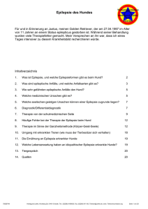 Epilepsie bei Hunden