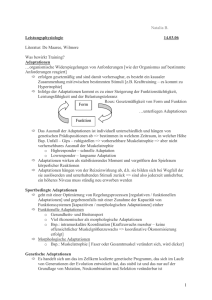 Natalia B. Leistungsphysiologie 14.03.06 Literatur: De Maaree