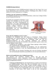 Informationsblatt zum - HNO Praxis Moser Gehrking +