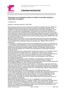 Pathological and aetiological studies of multifocal interstitial
