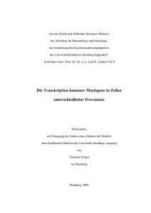 Die Transkription humaner Muzingene in Zellen unterschiedlicher