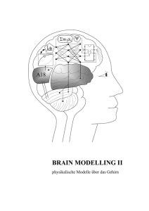 Teil I - Brain Modelling